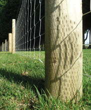 Load image into Gallery viewer, Machined Round Strainer Posts Pointed UC4 – Heavy-Duty Pressure-Treated Timbe-Eclipse Fencing
