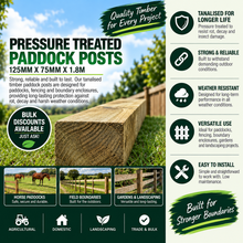 Load image into Gallery viewer, Paddock Posts 5 x 3, 125mm x 75mm x 1.8m – Pressure Treated Timber Fence Posts-Eclipse Fencing

