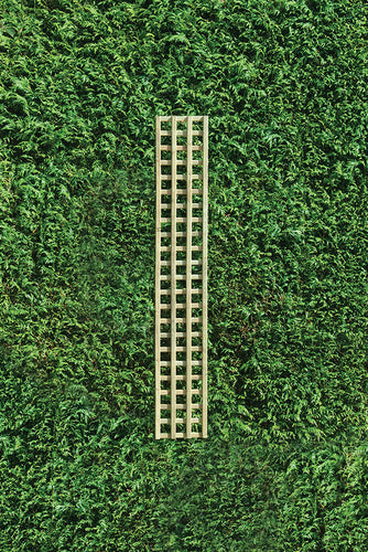 Planed Square Trellis – Smooth, Stylish & Built for Versatility-Eclipse Fencing