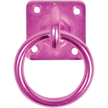 Load image into Gallery viewer, Swivel Tie Ring on Plate &quot; Pack Of 2 &quot;-Eclipse Fencing
