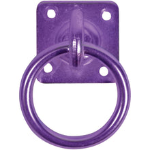 Load image into Gallery viewer, Swivel Tie Ring on Plate &quot; Pack Of 2 &quot;-Eclipse Fencing
