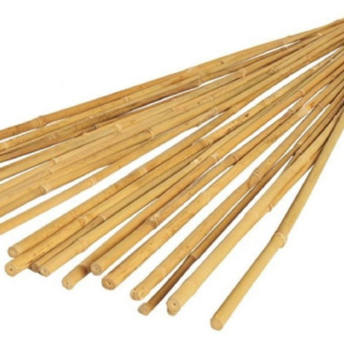 Bamboo Canes – Natural Plant Supports for Gardening & Landscaping-Eclipse Fencing
